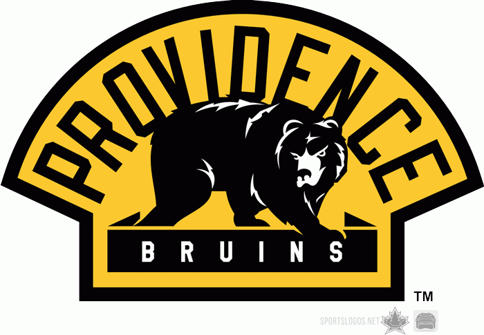 Providence Bruins 2010 11-Pres Alternate Logo iron on transfers for clothing